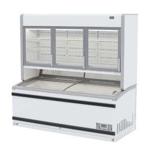 Expositor profissional de congelados