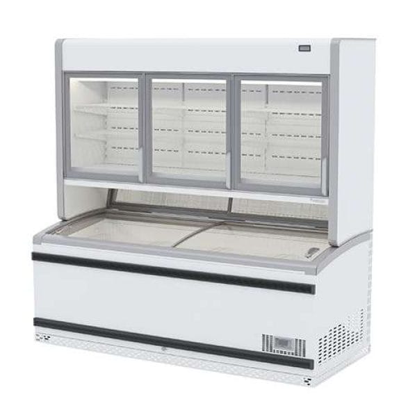 Expositor profissional de congelados