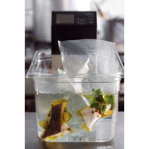 Cocedor a Baixa Temperatura Portátil Sous Vide