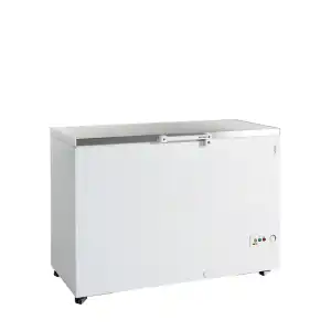 Arca Congeladora  FR405S SL